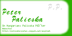 peter palicska business card